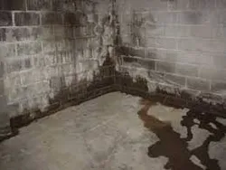 Basement foundation walls with visible water damage, staining, and standing water on the floor.